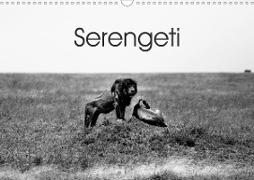 Serengeti - Tansanias Nationalpark in schwarz-weiß (Wandkalender 2020 DIN A3 quer)