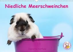 Niedliche Meerschweinchen (Wandkalender 2020 DIN A3 quer)