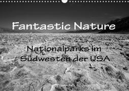 Fantastic Nature - Nationalparks im Südwesten der USA (Wandkalender 2020 DIN A3 quer)