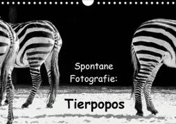 Spontane Fotografie: Tierpopos (Wandkalender 2020 DIN A4 quer)