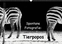 Spontane Fotografie: Tierpopos (Wandkalender 2020 DIN A3 quer)