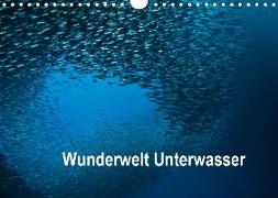 Wunderwelt Unterwasser (Wandkalender 2020 DIN A4 quer)