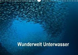 Wunderwelt Unterwasser (Wandkalender 2020 DIN A3 quer)