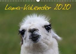 Lama-Kalender 2020 (Wandkalender 2020 DIN A3 quer)
