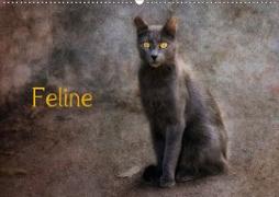 Feline (Wandkalender 2020 DIN A2 quer)