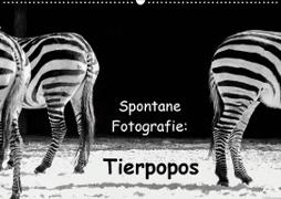 Spontane Fotografie: Tierpopos (Wandkalender 2020 DIN A2 quer)