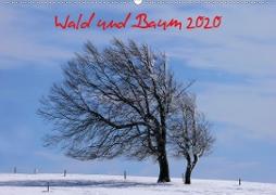 Wald und Baum 2020 (Wandkalender 2020 DIN A2 quer)