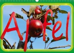 Apfel (Wandkalender 2020 DIN A3 quer)