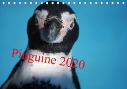 Pinguine 2020 (Tischkalender 2020 DIN A5 quer)