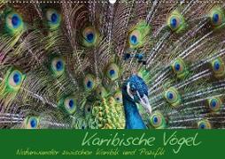 Karibische Vögel - Naturwunder zwischen Karibik und Pazifik (Wandkalender 2020 DIN A2 quer)
