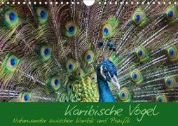 Karibische Vögel - Naturwunder zwischen Karibik und Pazifik (Wandkalender 2020 DIN A4 quer)