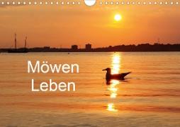 Möwen Leben (Wandkalender 2020 DIN A4 quer)