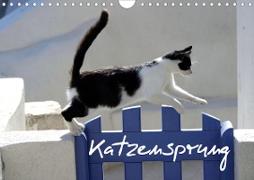 Katzensprung (Wandkalender 2020 DIN A4 quer)