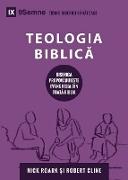 Teologia Biblic¿ (Biblical Theology) (Romanian)
