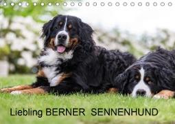 Liebling BERNER SENNENHUND (Tischkalender 2020 DIN A5 quer)