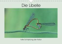 Die Libelle - tolle Schöpfung der Natur (Wandkalender 2020 DIN A4 quer)