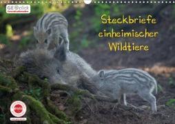 GEOclick Lernkalender: Steckbriefe einheimischer Wildtiere (Wandkalender 2020 DIN A3 quer)