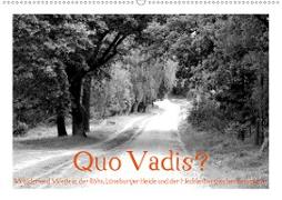 Quo Vadis? Wälder und Wege in der Röhn, Lüneburger Heide und der Mecklenburgischen Seenplatte (Wandkalender 2020 DIN A2 quer)