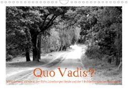 Quo Vadis? Wälder und Wege in der Röhn, Lüneburger Heide und der Mecklenburgischen Seenplatte (Wandkalender 2020 DIN A4 quer)