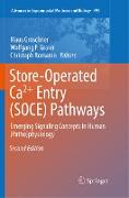 Store-Operated Ca²⁺ Entry (SOCE) Pathways