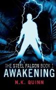 The Steel Falcon Book1