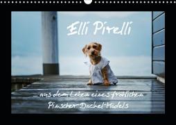 Elli Pirelli... aus dem Leben eines fröhlichen Pinscher-Dackel-Mädels (Wandkalender 2020 DIN A3 quer)