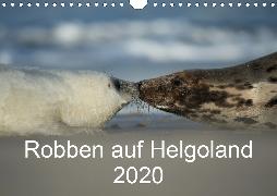 Robben auf Helgoland 2020CH-Version (Wandkalender 2020 DIN A4 quer)