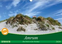 Amrum, die Perle in der Nordsee (Wandkalender 2020 DIN A3 quer)