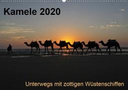 Kamele 2020 - Unterwegs mit zottigen WüstenschiffenCH-Version (Wandkalender 2020 DIN A2 quer)