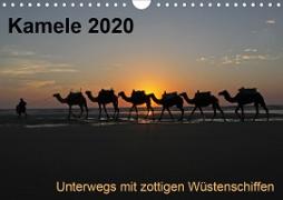 Kamele 2020 - Unterwegs mit zottigen WüstenschiffenCH-Version (Wandkalender 2020 DIN A4 quer)