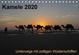 Kamele 2020 - Unterwegs mit zottigen WüstenschiffenCH-Version (Tischkalender 2020 DIN A5 quer)