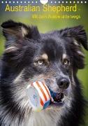 Australian Shepherd - Mit dem Aussie unterwegs (Wandkalender 2020 DIN A4 hoch)