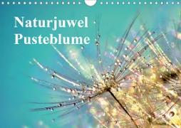 Naturjuwel Pusteblume (Wandkalender 2020 DIN A4 quer)