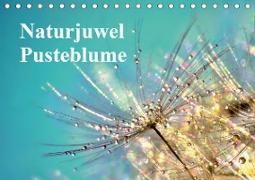 Naturjuwel Pusteblume (Tischkalender 2020 DIN A5 quer)