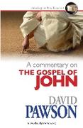 A Commentary on the Gospel of John