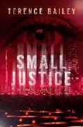 Small Justice