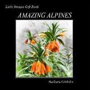 Amazing Alpines: Little Images Gift Book