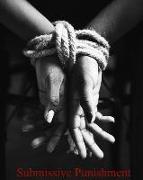 Submissive Punishment: A Journal for Every Dom to Keep Track of Your Sub/Slave Punishments / Perfect for Bdsm Relationships and Slave Trainin