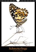 Schmetterlinge - bezaubernd und filigranCH-Version (Wandkalender 2020 DIN A4 hoch)