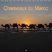 Chameaux du Maroc (Calendrier mural 2020 300 × 300 mm Square)