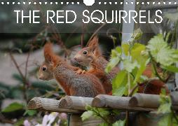 The red squirrels (Wall Calendar 2020 DIN A4 Landscape)