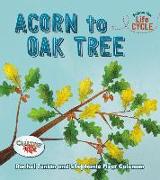 Acorn to Oak Tree