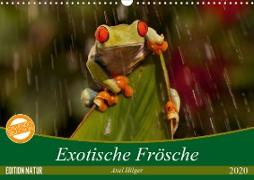 Exotische Frösche (Wandkalender 2020 DIN A3 quer)