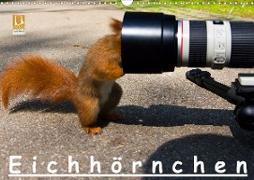 Eichhörnchen (Wandkalender 2020 DIN A3 quer)