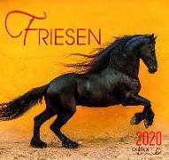 Friese 2020