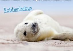 Robbenbabys (Wandkalender 2020 DIN A2 quer)