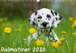 Dalmatiner 2020 (Wandkalender 2020 DIN A3 quer)