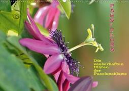 Passiflora (Wandkalender 2020 DIN A2 quer)