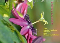Passiflora (Wandkalender 2020 DIN A4 quer)