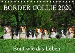 Border Collie 2020 (Tischkalender 2020 DIN A5 quer)